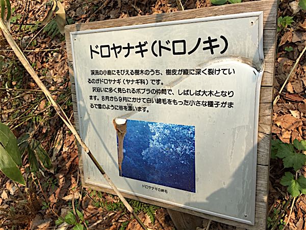 rblog-20150428000550-03.jpg