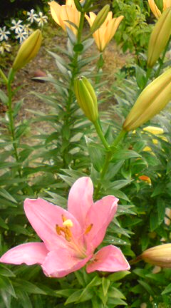 20120615131814.jpg