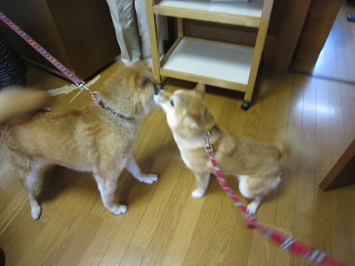 2013.10.1-1.JPG