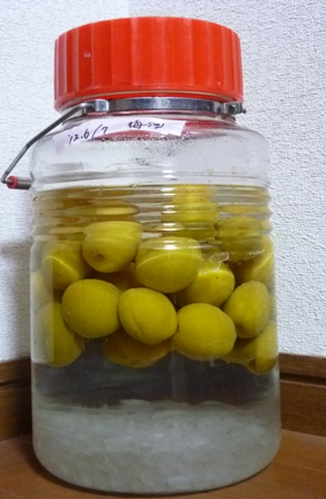 梅酒.JPG