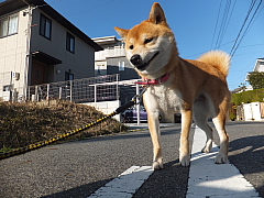 conv0016.JPG