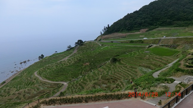 CIMG0229.JPG
