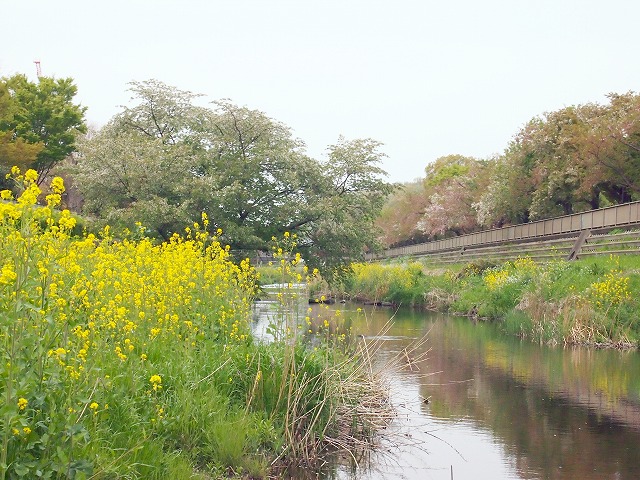 s-p1547.jpg
