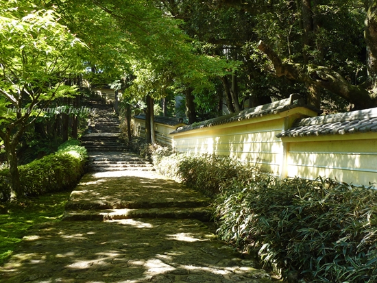 5月竹林寺の塀9.JPG