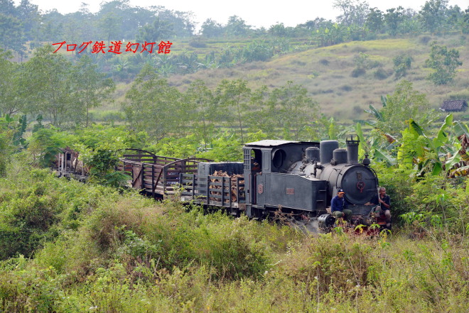 インドネシアの森林鉄道