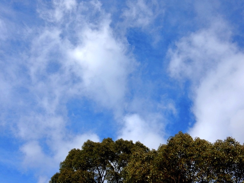 空 4.JPG