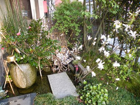 DSCF9177-p.jpg
