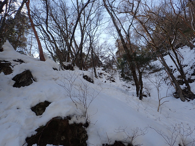 resize0029.jpg