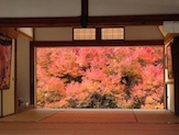 紅葉.JPG
