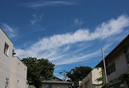 IMG_5647-11.jpg
