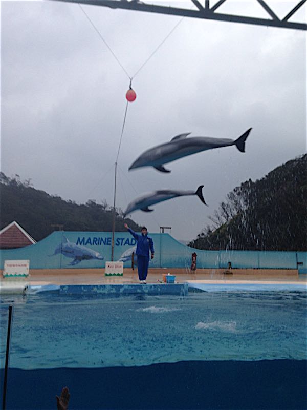 rblog-20141110144513-06.jpg