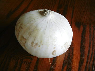 DSCN1637.JPG