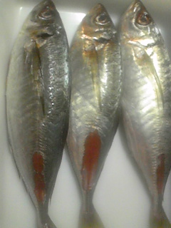120229_173724.jpg
