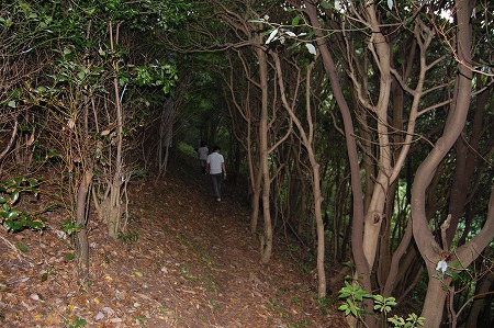 s-DSC_0602.jpg