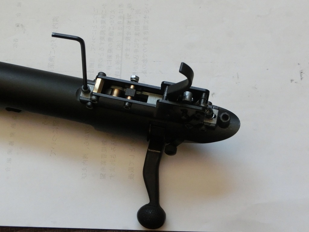 CIMG0256.jpg