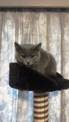 20140130094539.jpg