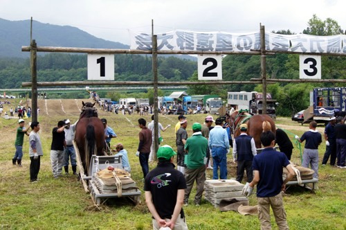 遠野馬力大会2014