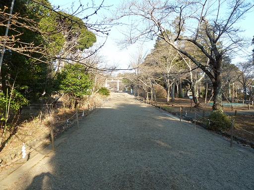 2013.3.17 031.JPG