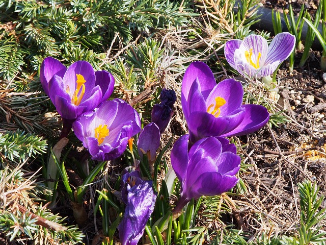 P2270199.jpg