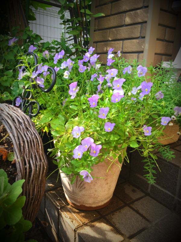 rblog-20160531203424-07.jpg