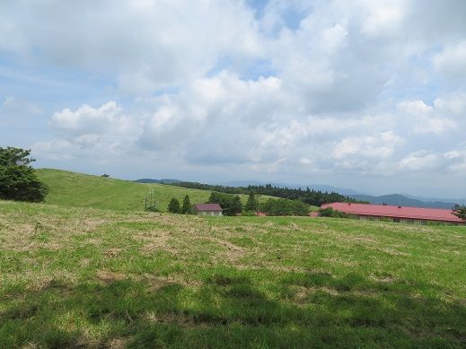 近場でお茶を濁す 茶臼山 愛知県最高峰 Kikiの山行き 山と山の花 楽天ブログ