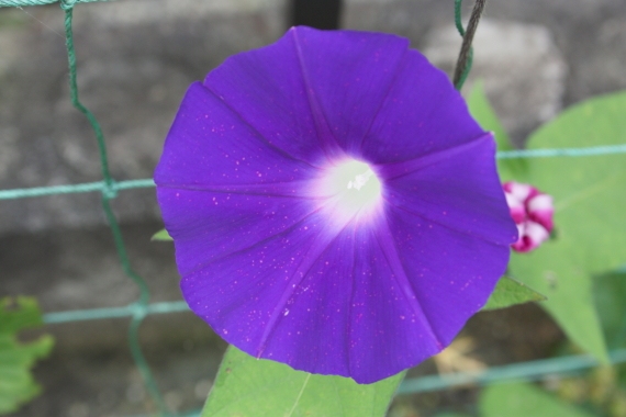 20160716007.JPG