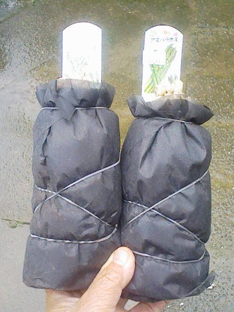 F1000036 - コピー.JPG