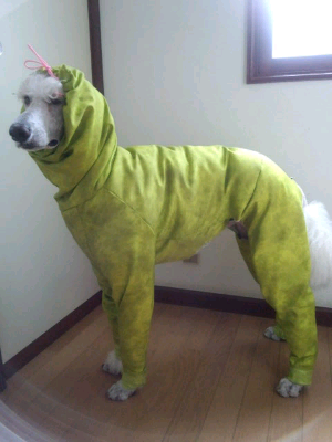 rblog-20130823080037-00.png