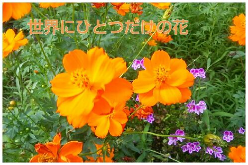 rblog-20160723172700-00.jpg