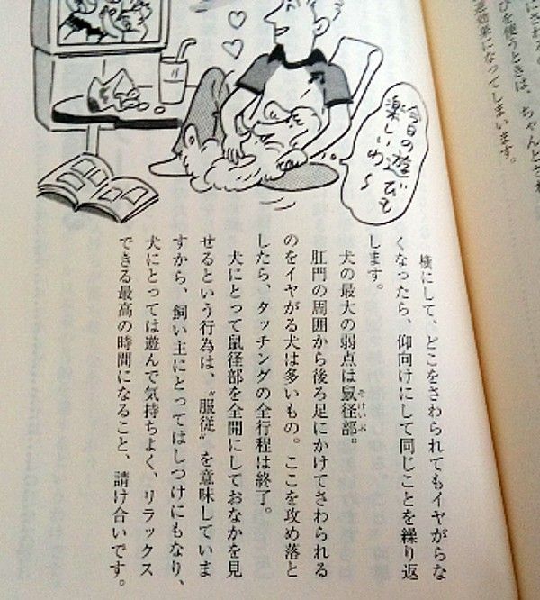 鼠径部 そけいぶ と肛門 冷やしそば 結婚25年アメリカ人夫婦の会話 晩ご飯日記 楽天ブログ