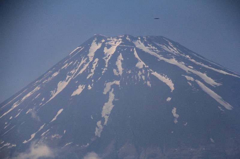 東京散策_6富士山.jpg