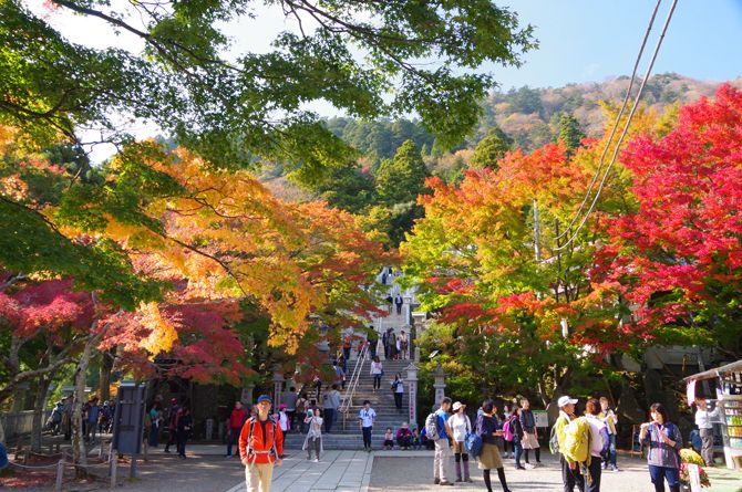 ２０１８年大山紅葉 みんな でかけようよ 楽天ブログ