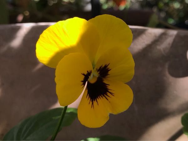 rblog-20181029111101-03.jpg