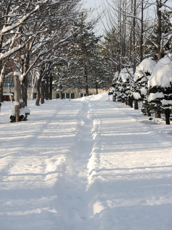 2017-11-20-2 (2).JPG