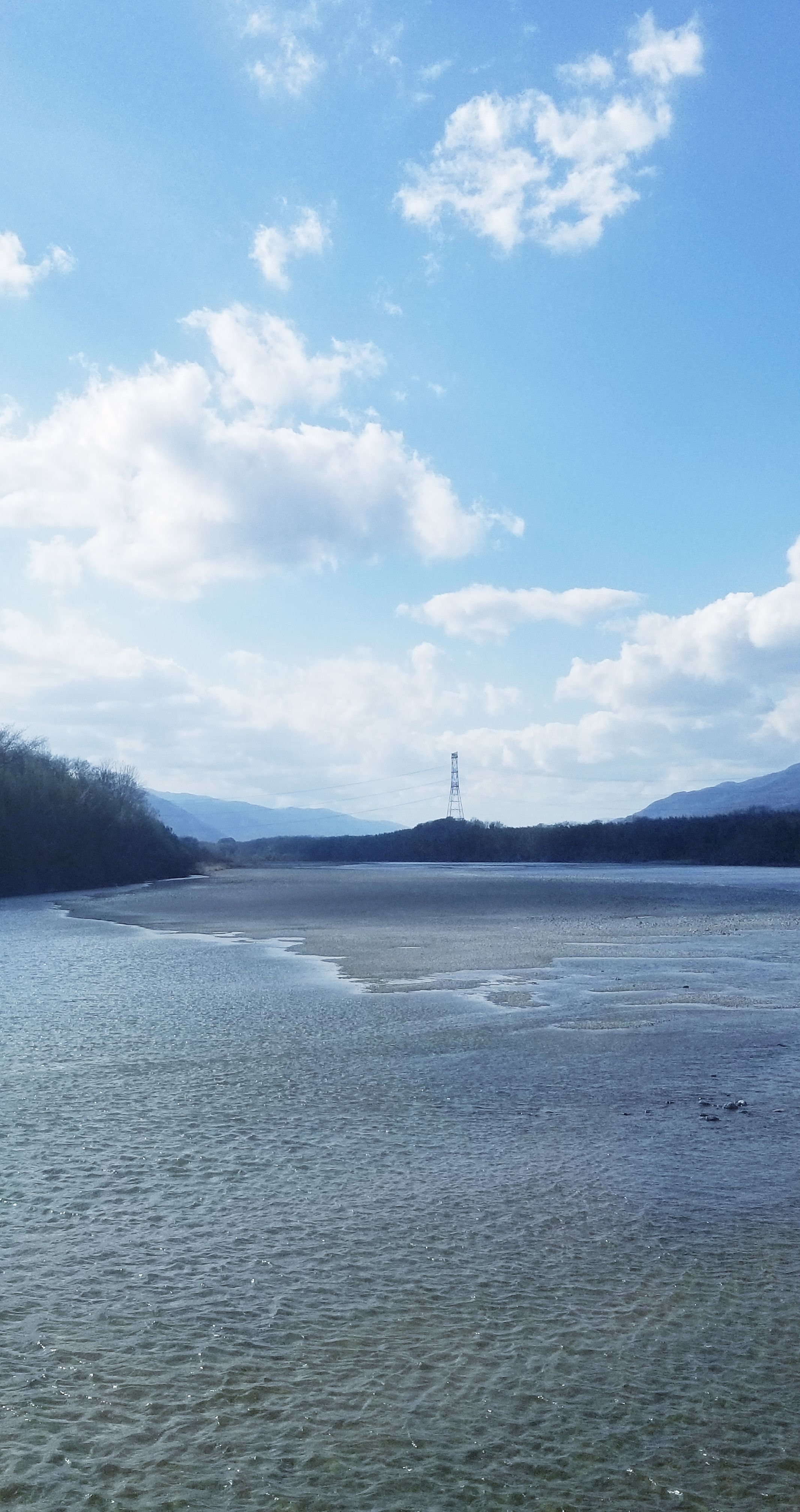 脇町うだつを生ける 假屋崎省吾さんの生け花展見てそれから 万年山猫だより 楽天ブログ