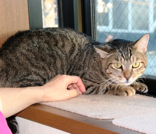 20150912ﾙﾅ05.jpg