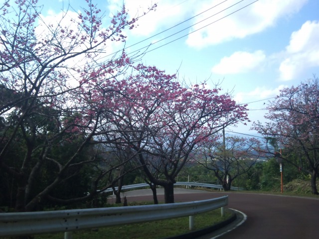 画像 059.jpg