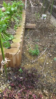 rblog-20140318161028-01.jpg