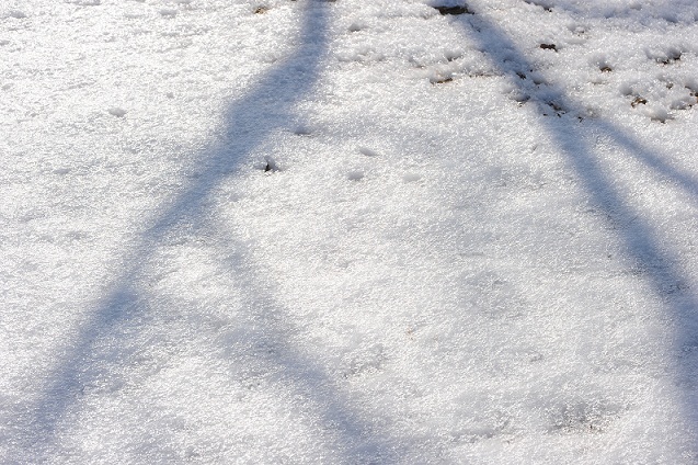 2013.1.17 011.JPG