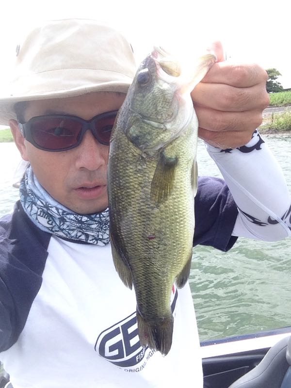 rblog-20150811102211-02.jpg