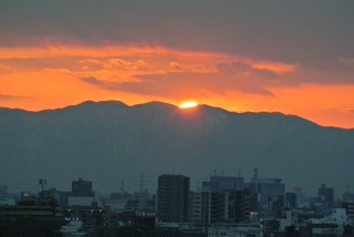 DSC_4803.jpg