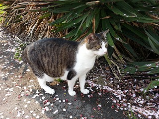 2015-04-16 08.46.07ss.jpg