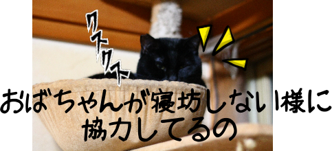 IMG_0661.png