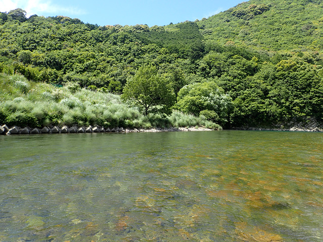 resize0044.jpg
