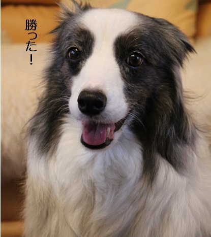 勝った