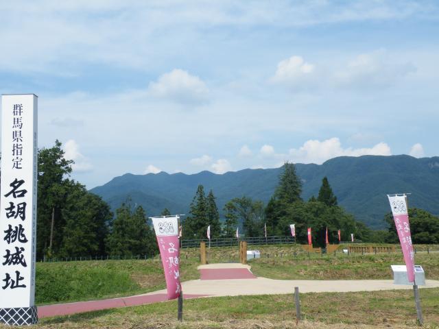 群馬旅行など (14).JPG