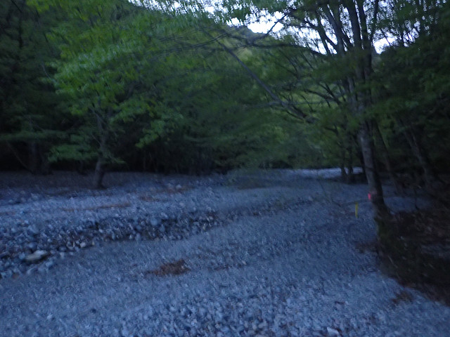 resize0006.jpg
