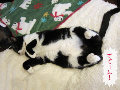 20121219113128_w_400_h_300_3948457.jpg