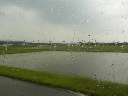 ゲリラ雷雨2