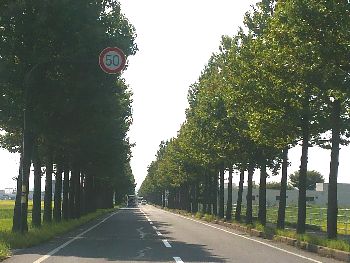 DCIM2477-350.jpg